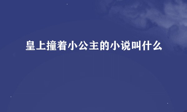 皇上撞着小公主的小说叫什么