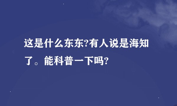 这是什么东东?有人说是海知了。能科普一下吗?