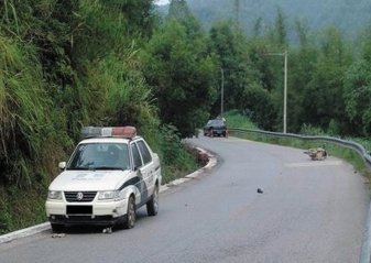 陕西旬阳警方通报警车撞死行人,事故的原因到底是什么?