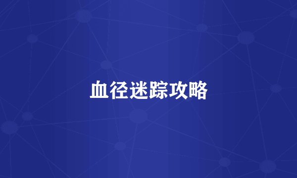 血径迷踪攻略