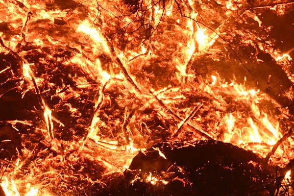 福建漳浦突发山火，山火爆发的原因是什么？