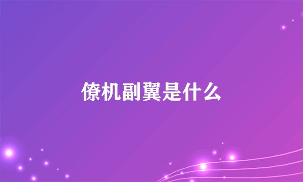 僚机副翼是什么