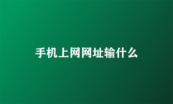 手机上网网址输什么