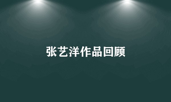 张艺洋作品回顾