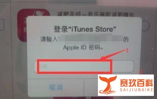 怎样在Ipad mini上下载软件