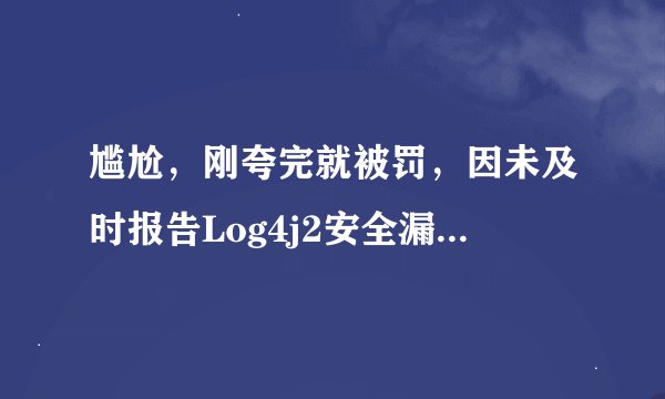 尴尬,刚夸完就被罚,因未及时报告Log4j2安全漏洞,阿里云被处罚!