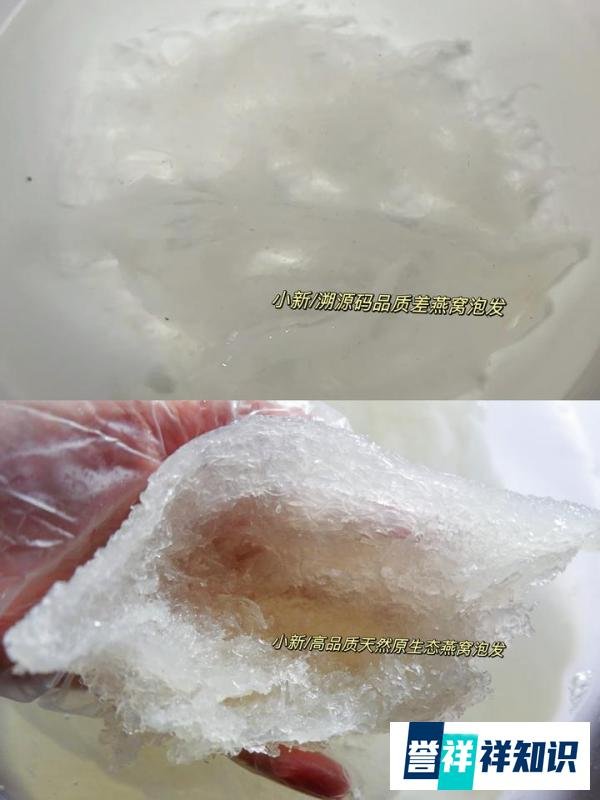 买燕窝要注意什么?燕窝哪里买比较真?买燕窝应该注意哪些问题