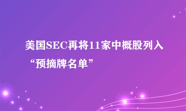 美国SEC再将11家中概股列入“预摘牌名单”