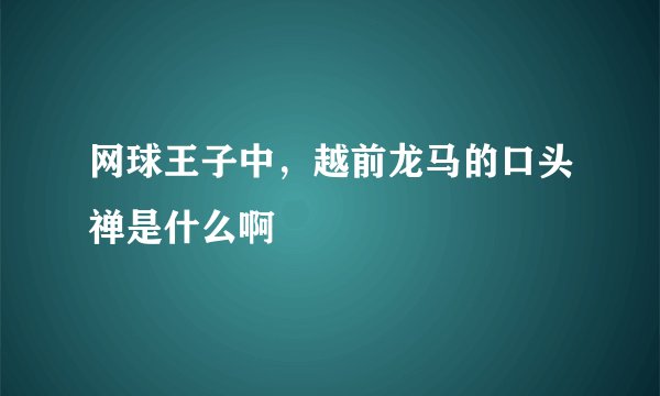 网球王子中，越前龙马的口头禅是什么啊