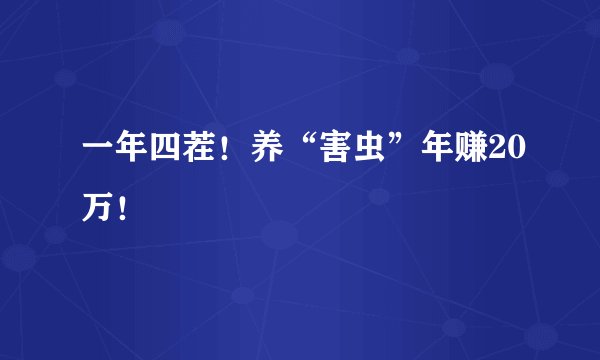 一年四茬！养“害虫”年赚20万！