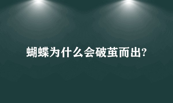 蝴蝶为什么会破茧而出?