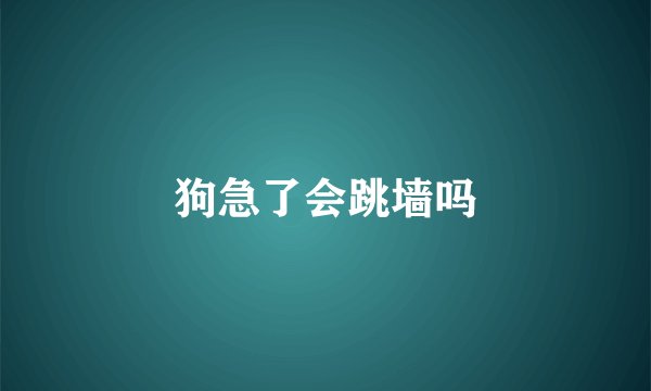 狗急了会跳墙吗