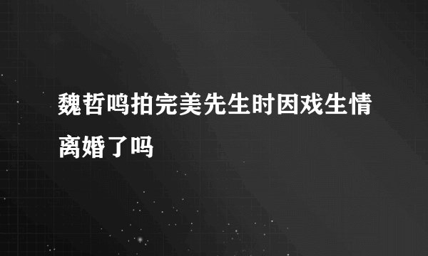 魏哲鸣拍完美先生时因戏生情离婚了吗