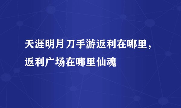 天涯明月刀手游返利在哪里，返利广场在哪里仙魂