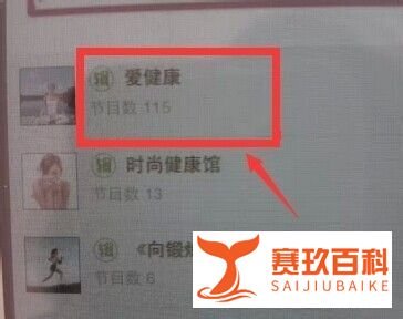 怎样在Ipad mini上下载软件