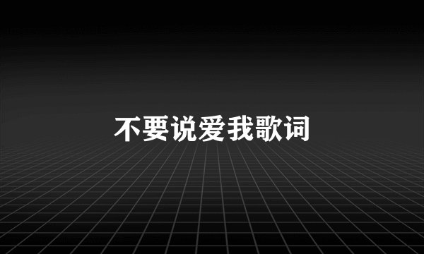 不要说爱我歌词