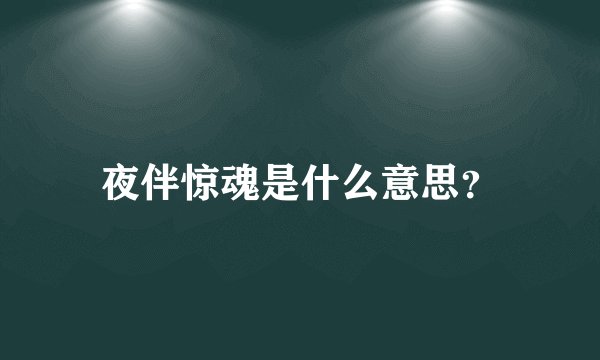 夜伴惊魂是什么意思？