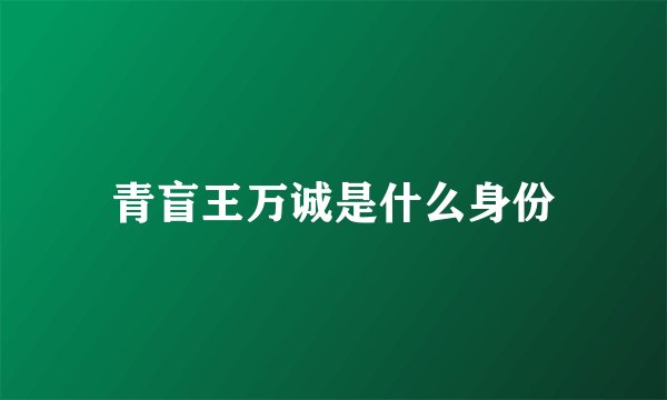 青盲王万诚是什么身份