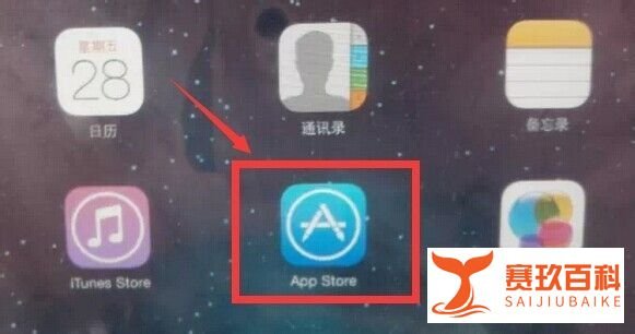 怎样在Ipad mini上下载软件