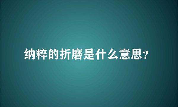 纳粹的折磨是什么意思？