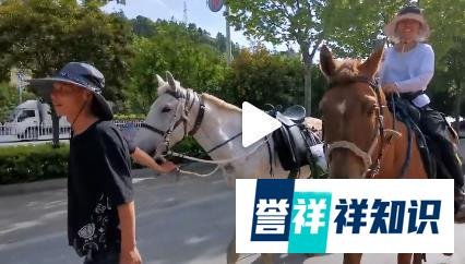夫妻骑马从新疆回福建已花30多万，为圆侠客梦，网友：另一种生活，羡慕