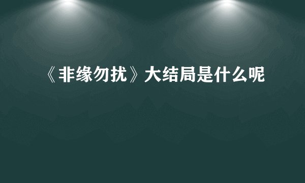 《非缘勿扰》大结局是什么呢