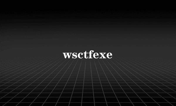 wsctfexe