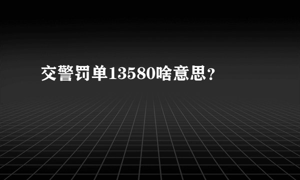 交警罚单13580啥意思？