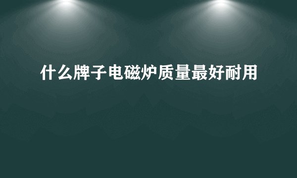 什么牌子电磁炉质量最好耐用