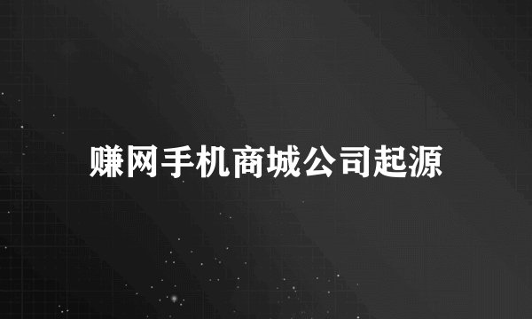赚网手机商城公司起源