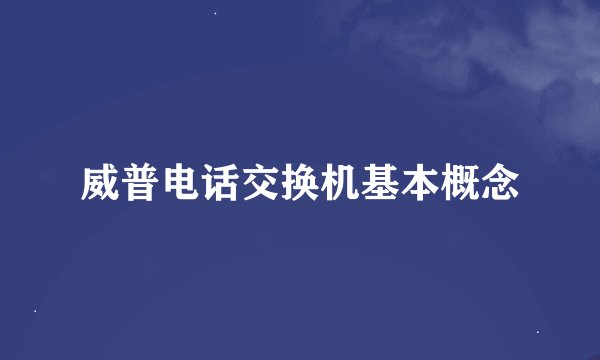 威普电话交换机基本概念