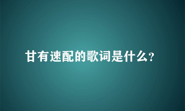 甘有速配的歌词是什么？