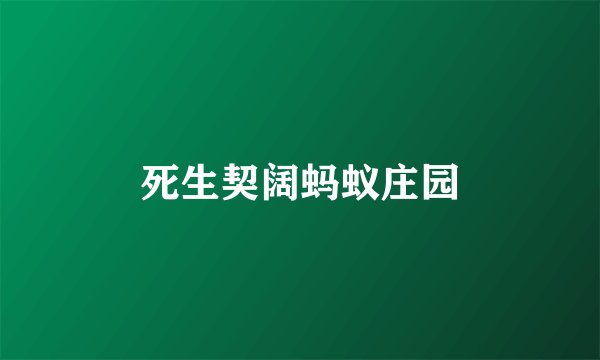 死生契阔蚂蚁庄园