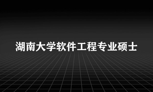 湖南大学软件工程专业硕士