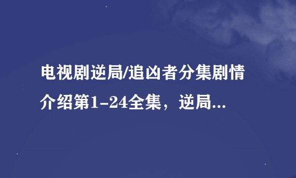 电视剧逆局/追凶者分集剧情介绍第1-24全集，逆局什么时候在哪个平台播出