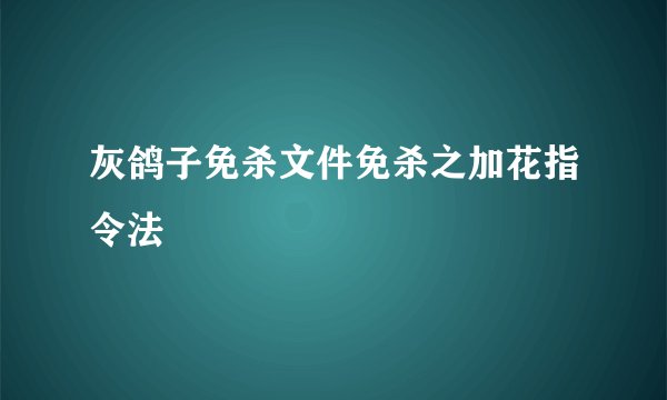 灰鸽子免杀文件免杀之加花指令法