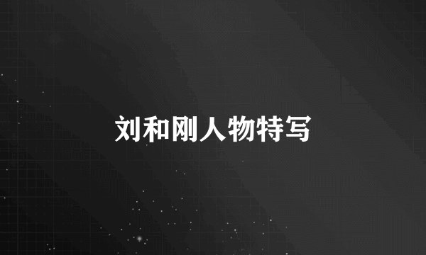 刘和刚人物特写