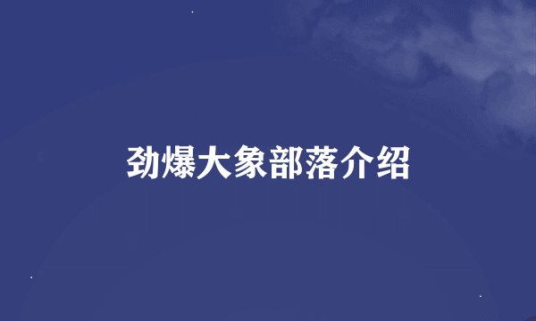 劲爆大象部落介绍