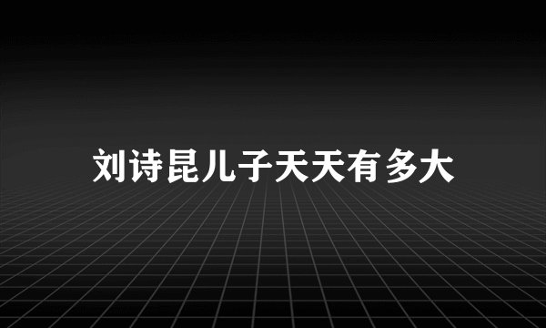 刘诗昆儿子天天有多大