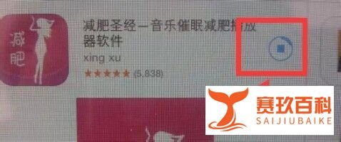 怎样在Ipad mini上下载软件