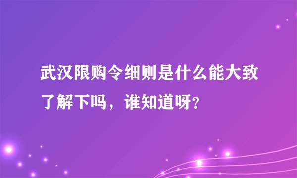 武汉限购令细则是什么能大致了解下吗，谁知道呀？