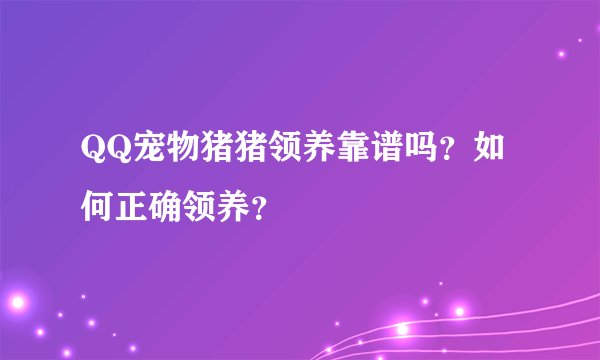 QQ宠物猪猪领养靠谱吗？如何正确领养？