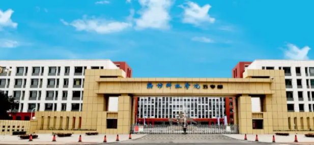 2020年潍坊科技学院士官学校录取分数线是多少