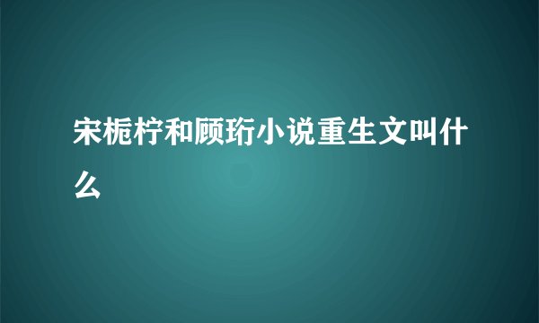 宋栀柠和顾珩小说重生文叫什么