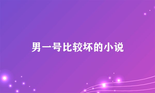 男一号比较坏的小说