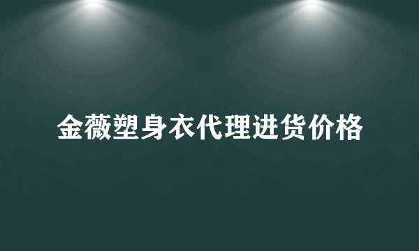 金薇塑身衣代理进货价格
