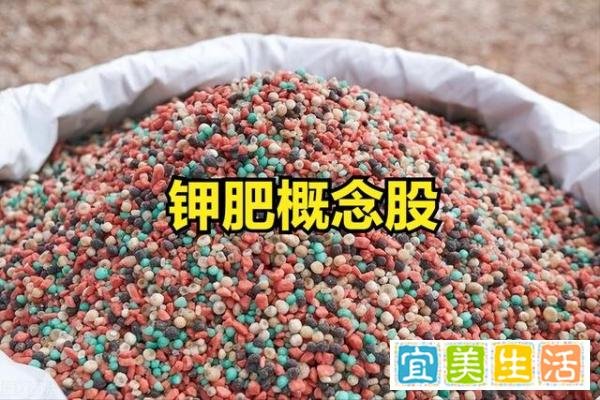 钾肥概念股有哪些?钾肥概念股一览表