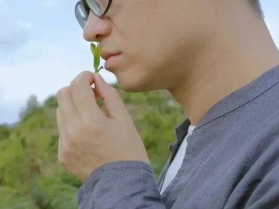 缪钦的爸爸跟爷爷是谁？缪钦为何可以接京东股份？