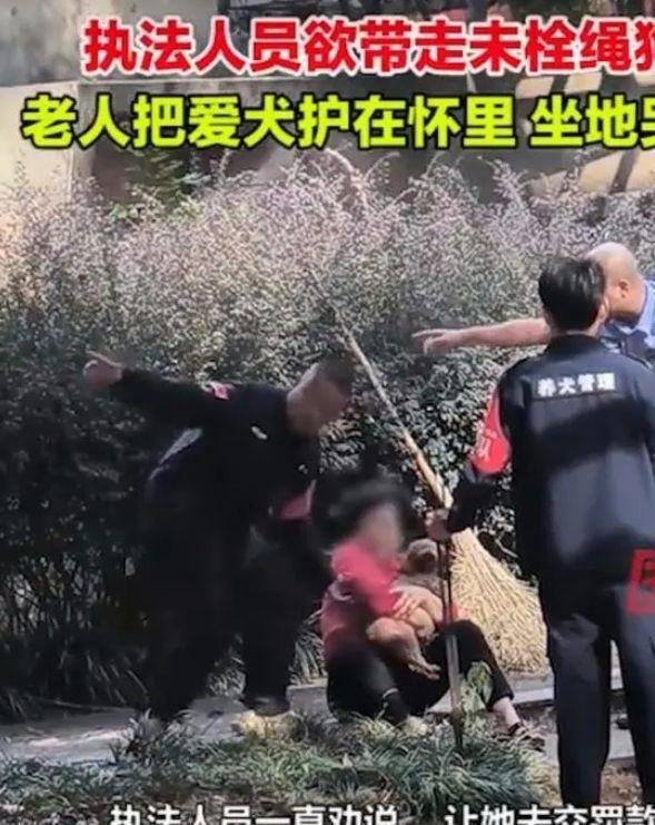 媒体评“不拴狗绳一律捕捉”