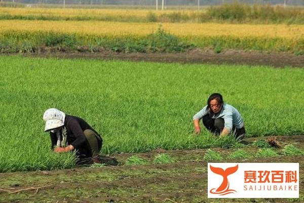 年轻人适合过低欲望的生活吗？